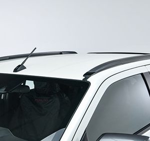 Longitudinal Roof Rail Set (2021-)