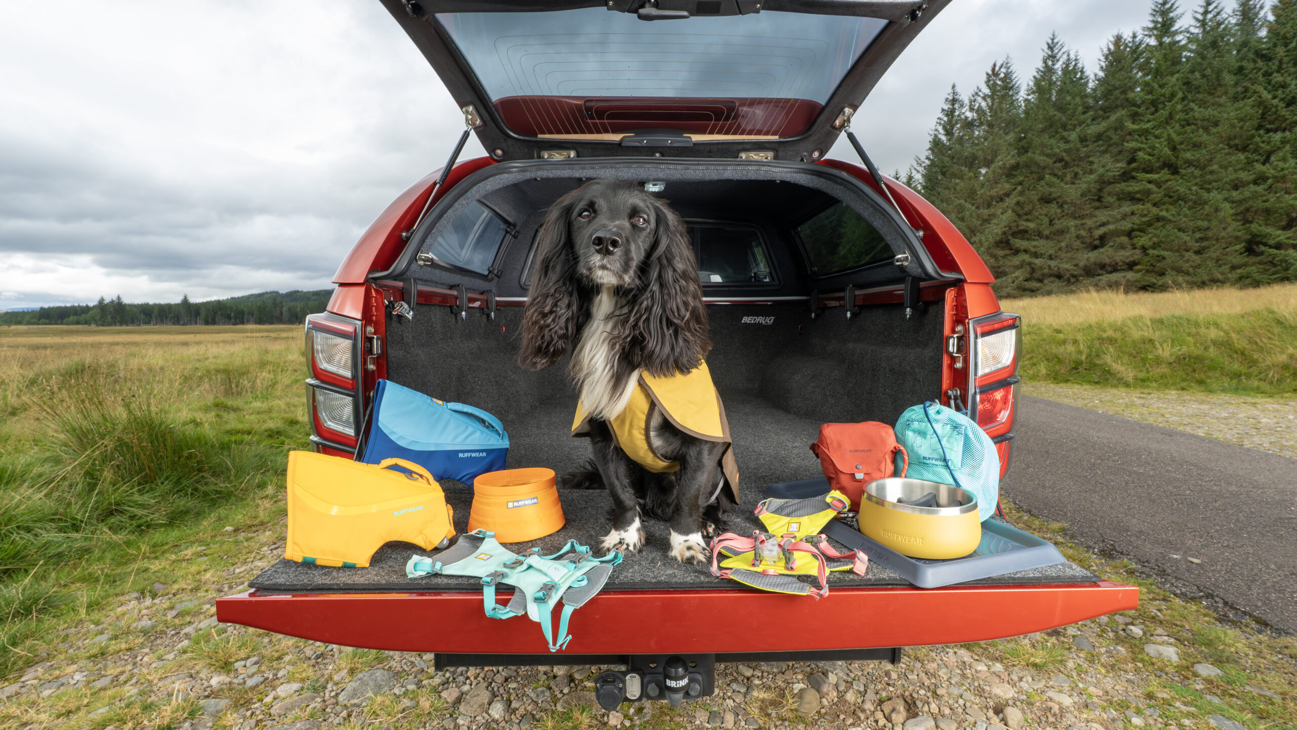 Dog in back of pick-up truck with Ruffwear Accessories 