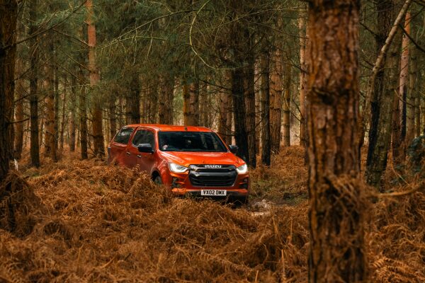 Thetford Forest Green Lane